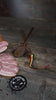 Bacon cu cimbru